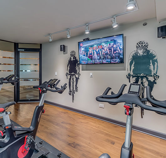 Eldridge Townhomes in Elmhurst, IL - Spin Room