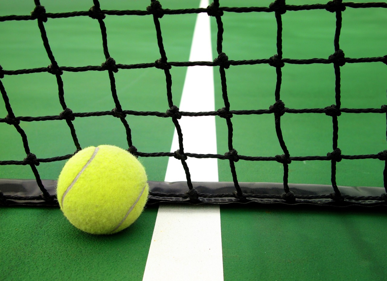 Eldridge Townhomes in Elmhurst, IL - Tennis 