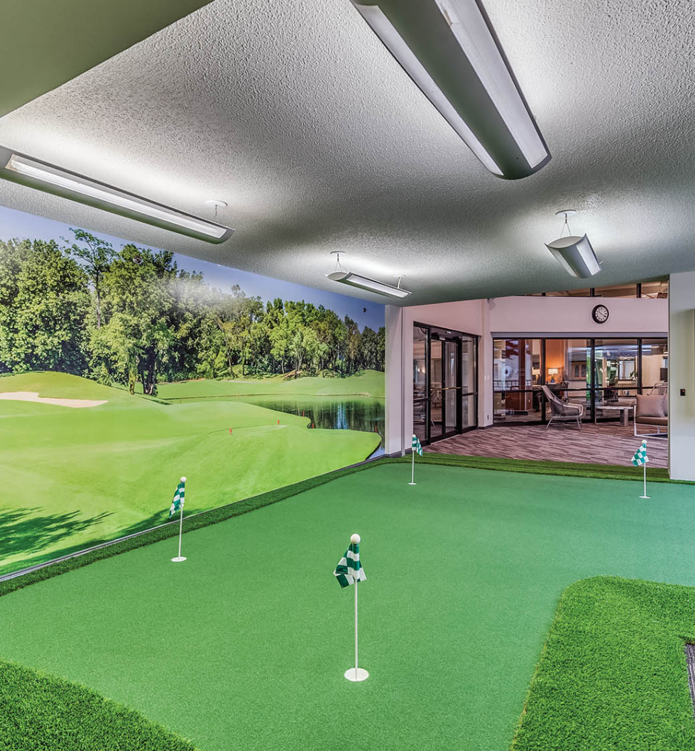 Eldridge Townhomes - Elmhurst, IL- Putting Green